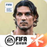 im体育登录